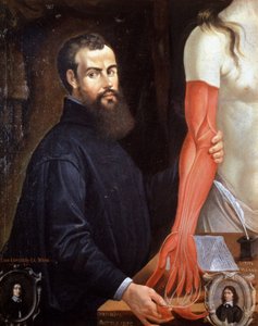 André Vésale (1514-1564) médecin flamand, père de l