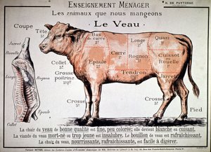 Les animaux que nous mangeons : le veau, vers 1910 - Unbekannter Künstler