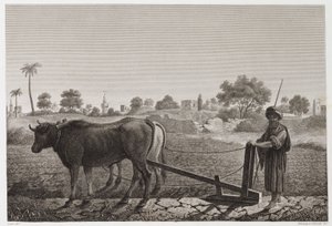 Labourage avec des bœufs, Égypte, vers 1798 - Unbekannt
