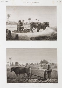 Agriculture arable, machine à battre et charrue, Égypte, vers 1798 - Unbekannt