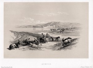 Ashdod par David - Unbekannter Künstler