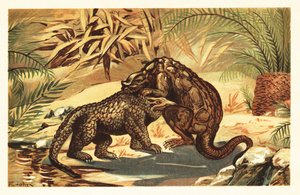 Bataille entre un Megalosaurus bucklandii et un Iguanodon bernissartensis - Unbekannter Künstler