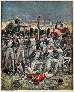 Bataille de Waterloo - Nicolas Liez
