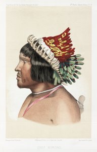 Chef Bororo, Amérique du Sud, vers 1843-1847 - Unbekannt