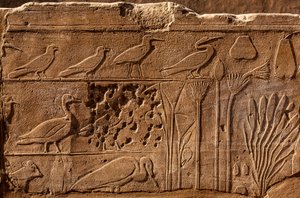 Jardin botanique de Thoutmôsis III avec reliefs représentant des plantes et des animaux, Temple de Karnak, Louxor, Thèbes, Égypte, Afrique - Unbekannter Künstler