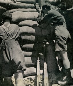 Troupes britanniques combattant en shorts kaki, péninsule de Gallipoli - Unbekannt