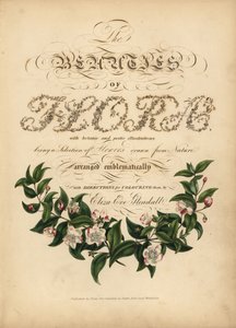 Page de titre calligraphique avec vignette botanique - Unbekannt