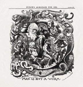 Caricature sur la théorie de l