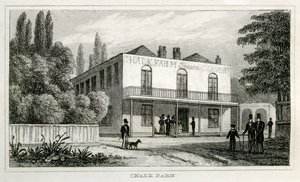 Chalk Farm - Unbekannt