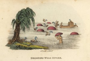 Chinois chassant des canards sauvages avec des chapeaux leurres dans la rivière, dynastie Qing