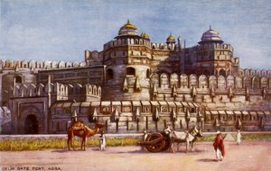 Porte de Delhi, Fort d