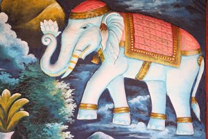 Éléphant dévoué - Unbekannt