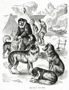 Esquimaux et chiens. 1902 (lithographie) - Unbekannt