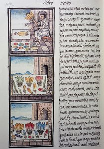 Traitement des plumes après la conquête espagnole, page du Codex Florentin - William M. Timlin