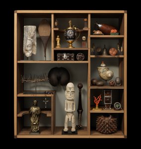 Le Cabinet de Curiosités de Finch et Co - Unbekannter Künstler