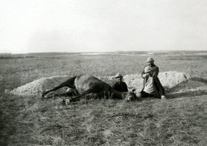 Première Guerre mondiale 14-18 (1914-1918) : trois soldats français enterrent un cheval mort - photographie sur plaque de verre - Unbekannter Künstler