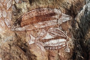 Poisson, peinture rupestre, Arnhem Land, Territoire du Nord, Australie, culture aborigène