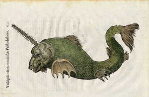 Poisson-scie (Pristis) dans Ulyssis Aldrouandi... De piscibus libri V et de cetis lib. vnus/Ioannes Cornelius Vteruerius... collegit; Marc. Antonius Bernia in lucem restituit... traite de l