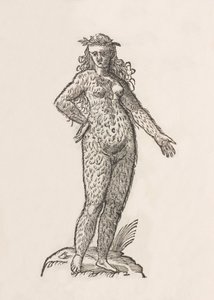 Foemina Cinnaminiae gentis