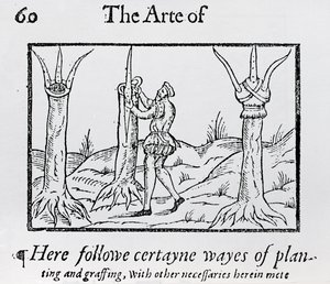 Greffer un arbre - Unbekannt