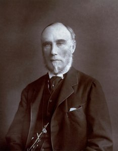 Portrait en buste du Vice-roi des Indes Thomas Baring Comte de Northbrook - Unbekannter Künstler