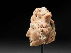 Tête de Méduse, de Bactriane ou Gandhara, IIe-Ier siècle av. J.-C. (corail rose) - Unbekannt