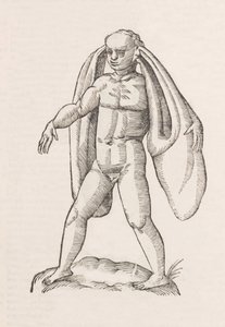 Homo fanesius auritus - Unbekannt