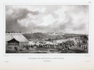 Course de chevaux à Longwood, Sainte-Hélène - Unbekannt