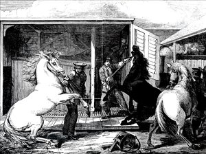 Chevaux à la gare de Gloucester - Unbekannt