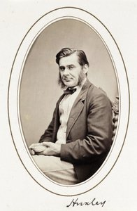 Huxley, vers 1865