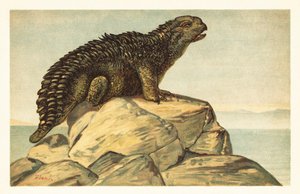 Hylaeosaurus armatus, dinosaure ankylosaurien herbivore éteint. 1908 (lithographie)