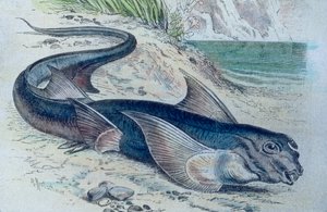 Illustration d