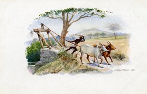 Élévateur à eau indien - Unbekannter Künstler