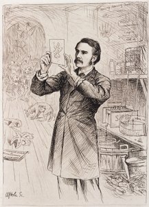James Cossar Ewart, zoologiste - Unbekannt