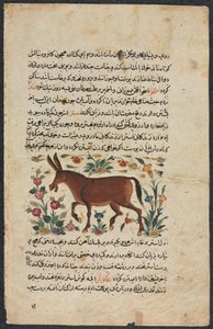 Khar (âne), d