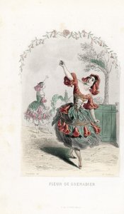La fée de la fleur de grenade danse - Eau-forte par Charles Geoffroy (1819-1882), d