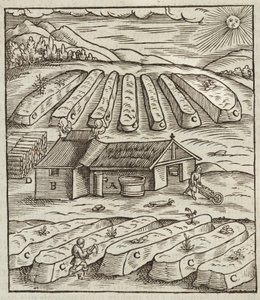 La préparation du salpêtre - Gravure extraite de Description des minerais et des principales méthodes d