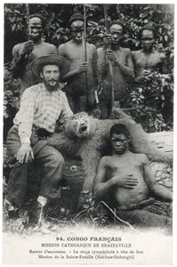 Le singe cynocéphale à tête de lion, c.1910 (lithographie) - Unbekannt