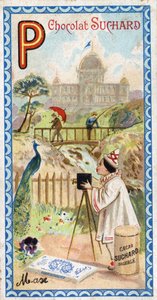 Lettre P : palais, pavillon, parapluie, photographe, pont, pêche, paon, pensée. Gravure de l