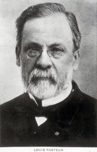 Louis Pasteur, chimiste et microbiologiste français, vers 1885