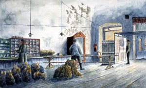 Tri du courrier à la poste
