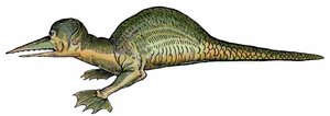 Dragon marin (Draco marinus), xylographie tirée de Paralipomena accuratissima historiae omnium animalium quae in voluminibus Aldrovandi desiderantur/Bartholomaeus Ambrosinus... summo labore collegit; Marcus Antonius Berna bibliopola bononiensis propri - Unbekannter Künstler