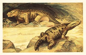 Mastodonsaurus et Pareiasaurus - Unbekannter Künstler