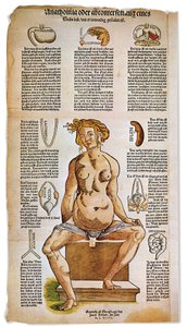 Médecine : planche anatomique décrivant l