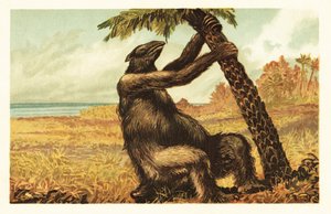Megatherium americanum tirant sur un palmier
