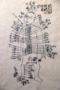 Musée de la Médecine Traditionnelle Vietnamienne, Les canaux et vaisseaux, Livre d