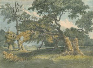Needwood - Chêne : peinture à l