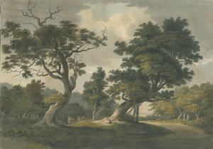 Forêt de Needwood : aquarelle, nd [début du 19e siècle] - Unbekannt