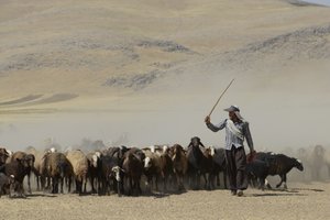 Tentes Nomades entre Tamar et Ashkhaneh, Iran 2022