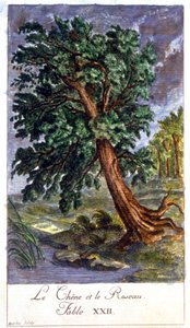 Le chêne et le roseau